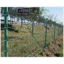 Fil à coques en PVC revêtue de clôture (YB-Fence 5)